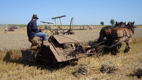 Exposition de matériels agricoles anciens