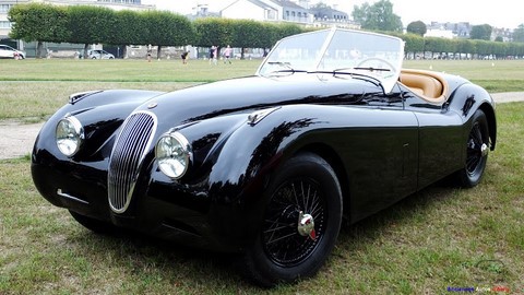 CHANTILLY JAGUAR